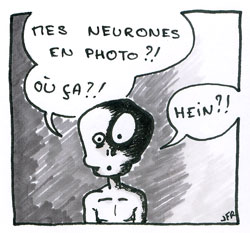 Mes neurones en photo ?, juin 2010